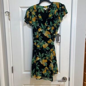 Eva Mendes NY&Co Wrap Dress XL